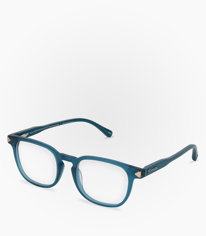 Ranita de Darwin Azul